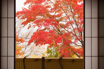 Hoshino Resorts Kai Nikko Exteriér fotografie